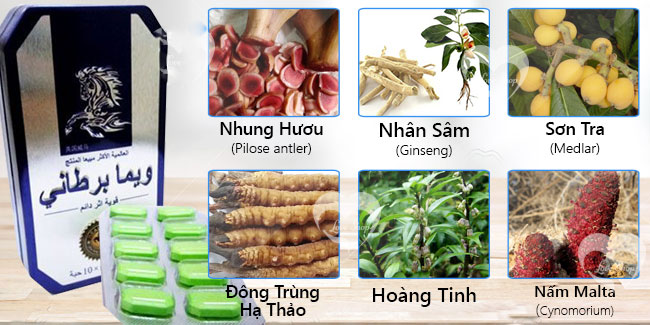 slnnguathai_bviet1